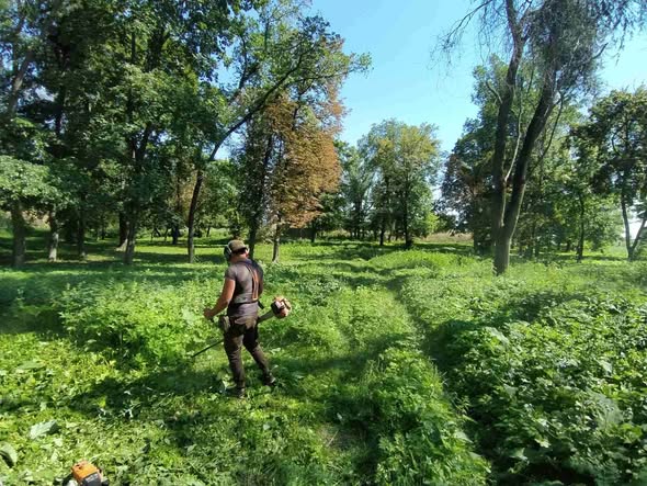 Берестинський ККП: дорожні робітники здійснюють покіс трави на території Більовської фортеці