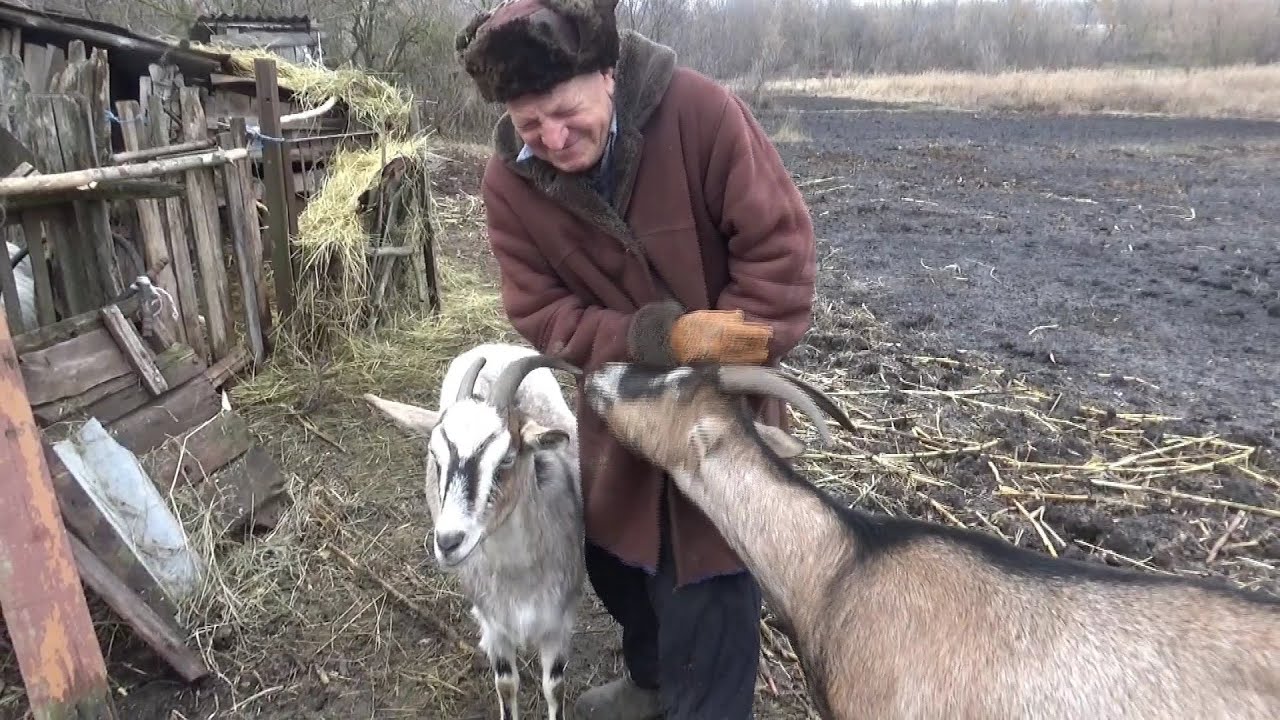 Цікава розповідь старожилів Журавлів села Чупахівка Сумської області
