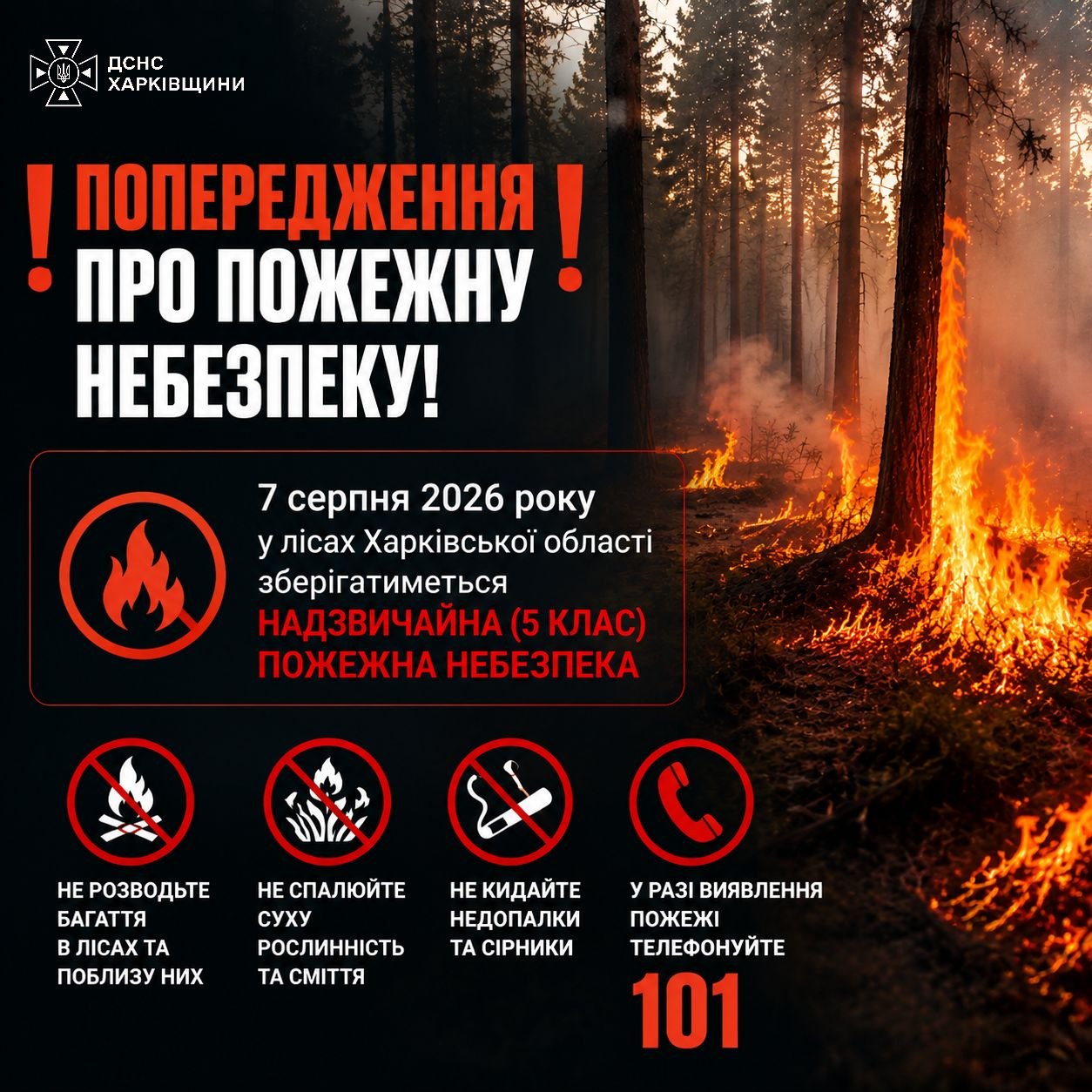 На фото зображено, як горить ліс