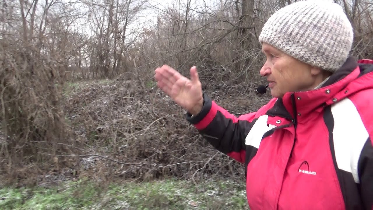 Село Чуднівці, сім кілометрів від центра Лубен. Чагарники на місцях покинутих хат