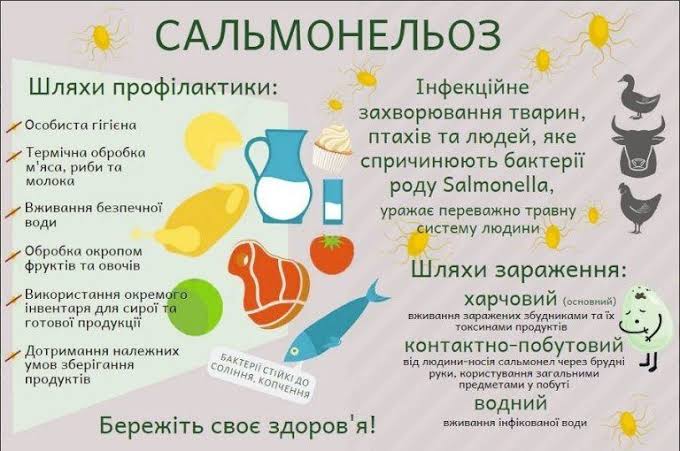 «Сальмонельоз: як уберегти себе влітку»